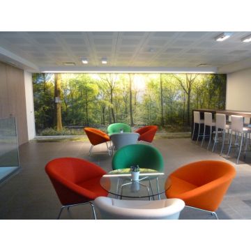 P230HT Wit Mat Wall Deco met Lino structuur